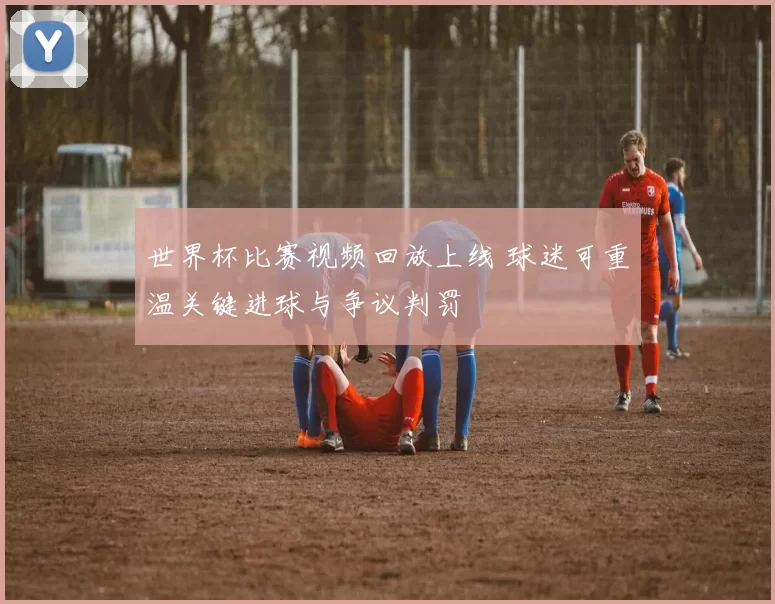 世界杯比赛视频回放上线 球迷可重温关键进球与争议判罚