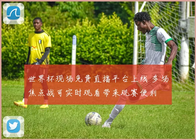 世界杯现场免费直播平台上线 多场焦点战可实时观看带来观赛便利