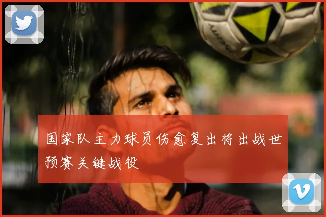 国家队主力球员伤愈复出将出战世预赛关键战役