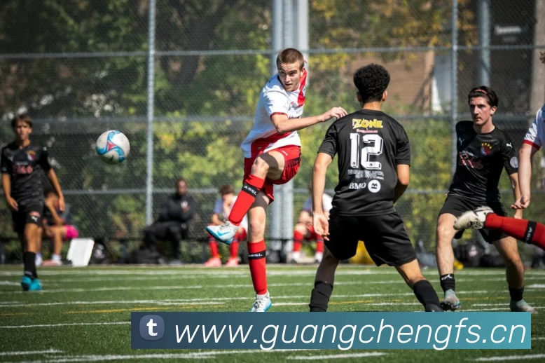 hth华体网站登录入口 - 华体(中国)APP 高清赛事图